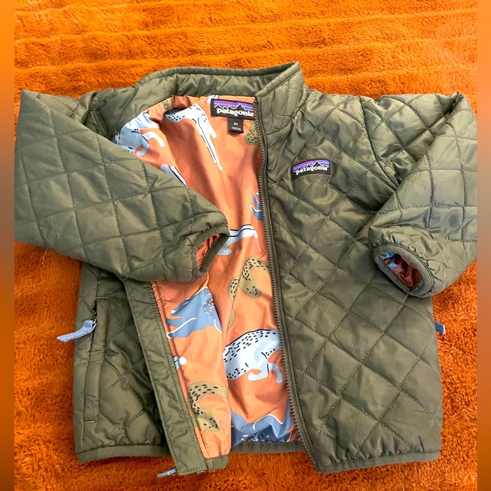 Patagonia 3T nano puff jacket